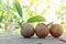 Selective focus of fresh harvest sapodilla or chico tropical fruit with copy space.