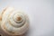 selective focus of a grape snail shell close-up on a light background, in powdery tinting.Top view.