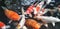 Selective focus of group of colorful koi fish in the pond or brocade carp