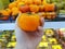 Selective focus of hand holding ripe persimmons on blurred kiwi and  persimmons