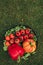 Selective focus of healthy red and yellow peppers