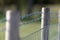 Selective focus image of freshly made double barbed wire fence