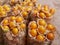 Selective focus of juicy ripe Cape gooseberry fruits, Physalis peruviana, Goldenberry, Poha, in a plastic bag ready to be picked