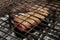 Selective focus of the marinated impala steak ready to be grilled