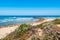 Selective focus on maritime vegetation in the dunes of Farol beach in Milfontes, Odemira PORTUGAL