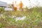 Selective focus of Mother and child collecting garbage on a meadow on evening day, Save environmental concept