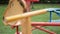 Selective focus of moving carousel /  roundabout / merry-go-round in a yard