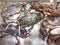 Selective focus on mud crabScylla in the market. Indonesian papua crab