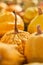 Selective focus of nice yellow pumpkin harvested in autumn.