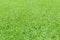 Selective focus of  pattern artificial grass football field