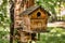 Selective focus photo of a cozy birdhouse on a tree, against the backdrop of a summer forest landscape