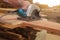 Selective focus on piece of wood is being cut with electric circular saw against hands of worker in carpentry workshop with sunshi