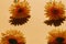 Selective focus of plastic sunflowers on orange background. Concept of onset of autumn and isolation and distance