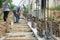 Selective focus on the reinforcement steel for concrete structure with blurred workers in background at construction site