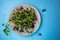 selective focus, salad of micro greens, healthy sprouts