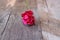 Selective focus and shallow depth of field of one red rose on old wooden background. Valentine`s day or romance concept