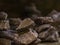 Selective focus shot of balancing stones