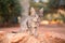 Selective focus shot of a beautiful kitten on a big rock in a park