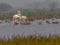 Selective focus shot of a beautiful pair of flamingos in a lake