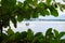 Selective focus shot of a boat on the Peten Itza Lake framed with green leaves