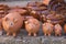 Selective focus shot of clay piggy banks on sale on the street market