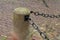 Selective focus shot of a concrete post with metal chains attached in a park