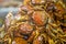 Selective focus shot of crispy delicious cooked small crabs served together in a plate