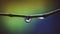 Selective focus shot of a dewdrop on a branch on blurred colorful background
