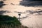 Selective focus shot of a drying water pond with a small birdhouse on the side