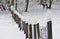 Selective focus shot of fence pillars covered with snow