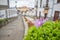 Selective focus shot of a flower on background of Paseo de Canarias street, Firgas, Spain