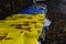 Selective focus shot of German trashcans for different trash, yellow - plastic, blue - paper