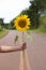Selective focus shot of a hand holding a sunflower in the middle of highway