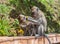 Selective focus shot of long-tailed macaques eating a banana