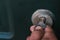 Selective focus shot of a male putting keys in a house lock