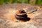 Selective focus shot of an old rusty anti-tank mine under the sunlight