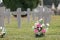 Selective focus shot of potted fresh flowers in the cemetery