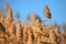 Selective focus shot of reed field in wind