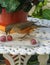 selective focus shot of a rufous bellied thrush (Turdus rufiventris) eating a grape from a plate