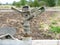 Selective focus shot of a rustic water sprinkler for irrigation in a farm