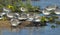 Selective focus shot of the sanderling (Calidris alba) small wading birds