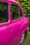 Selective focus shot on the side doors of a pink retro car standing in front of green plants