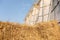 Selective focus shot of straw stack packed in rural farming area seeing wooden beautiful design barn with clear sky. It is