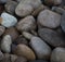 Selective focus shot of various pebbles