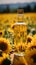 Selective focus on a sunflower oil bottle amidst a picturesque sunflower field