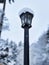 Selective focus on a tall, dark lamp post during a snow storm in the pacific northwest woodland