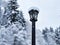 Selective focus on a tall, dark lamp post during a snow storm in the pacific northwest woodland