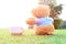 selective focus at Teddy bear sitting on the grass with burst sunrise light ,dream soft style . Concept about travel