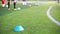 Selective focus to blue marker cone is soccer training equipment on green artificial turf with blurry kid players training backgro