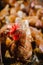 Selective focus vertical shot of a rooster having a group of hens behind in a chicken coop